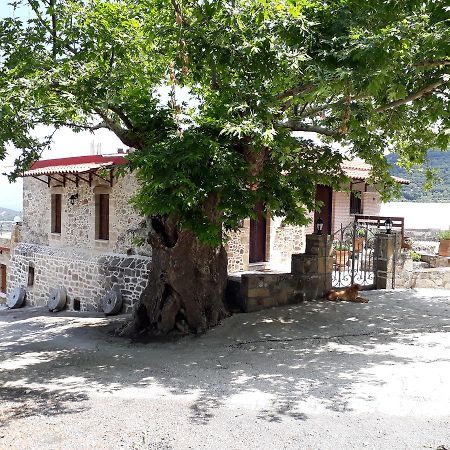 Traditional House Koukounara Kíssamos Dış mekan fotoğraf