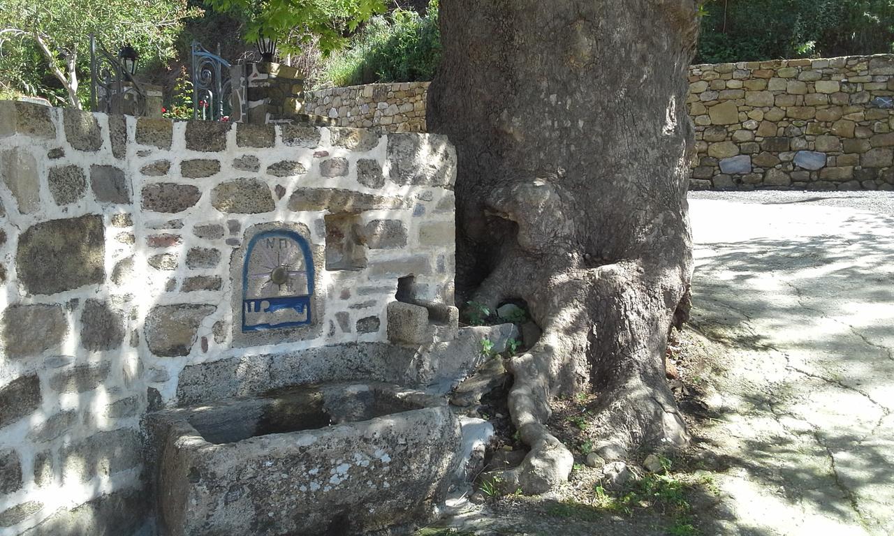 Traditional House Koukounara Kíssamos Dış mekan fotoğraf