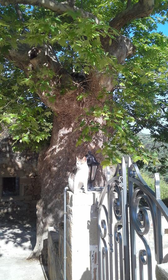 Traditional House Koukounara Kíssamos Dış mekan fotoğraf