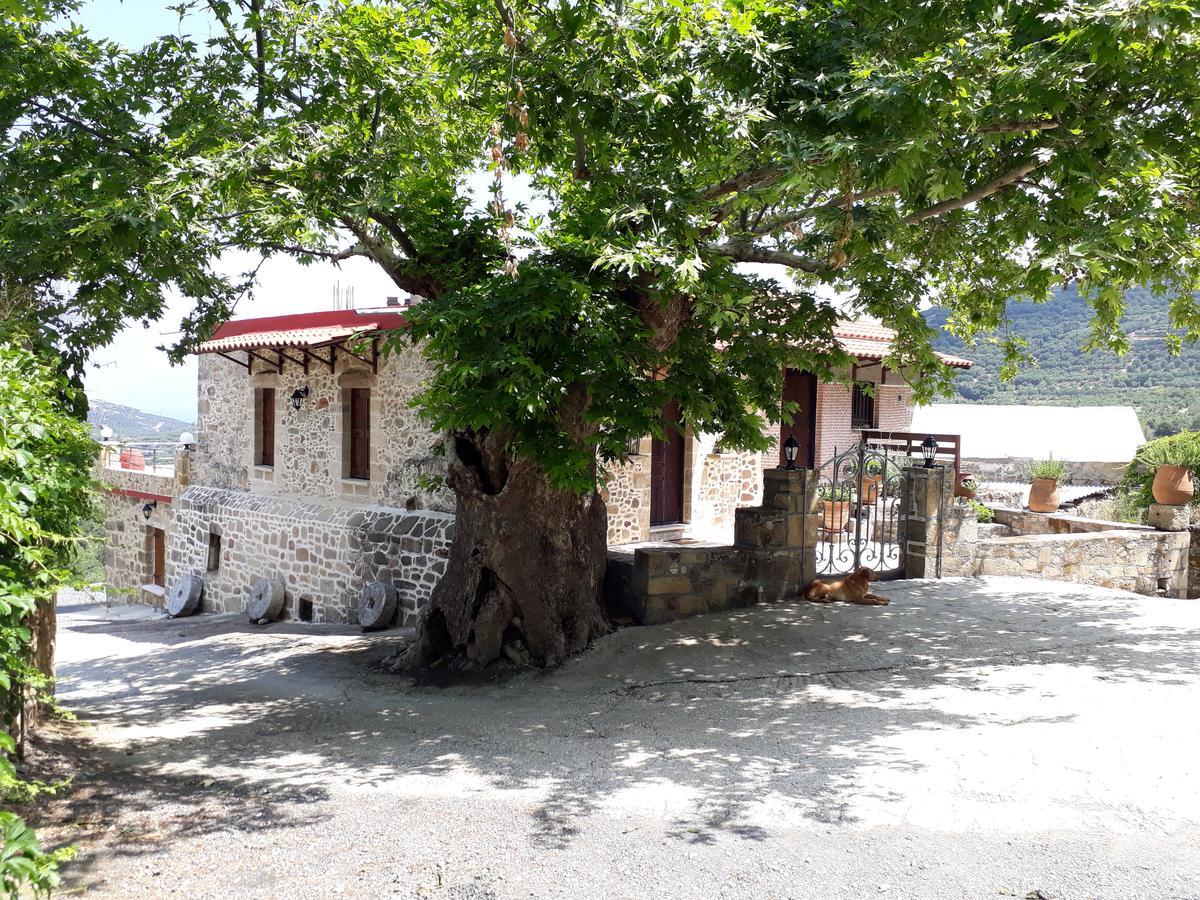 Traditional House Koukounara Kíssamos Dış mekan fotoğraf