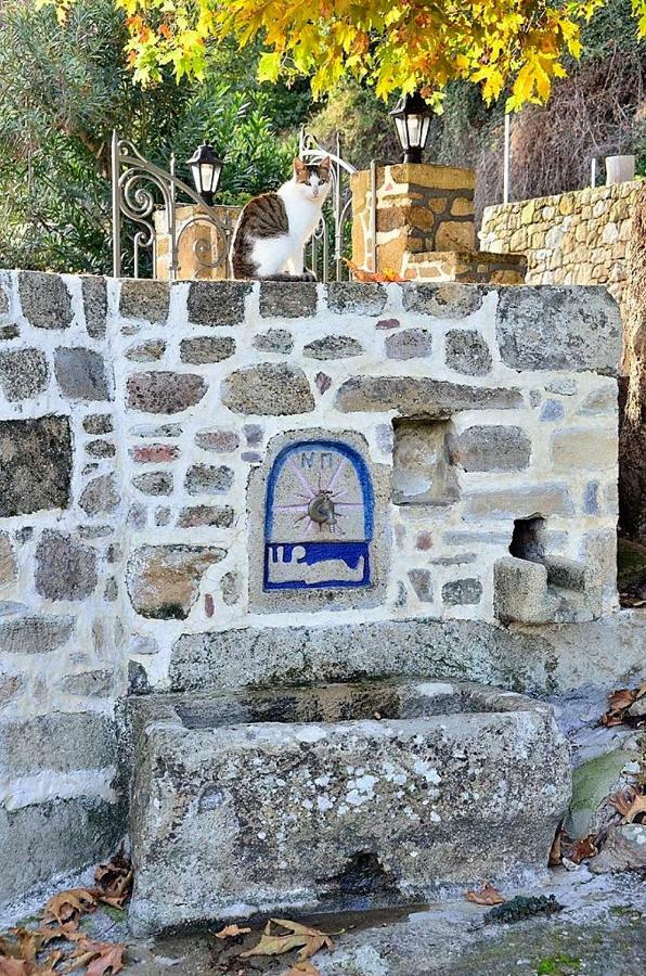 Traditional House Koukounara Kíssamos Dış mekan fotoğraf